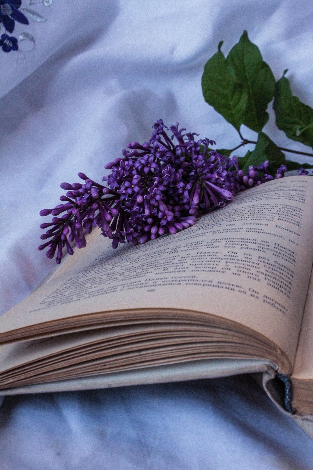 Purple Flowers on a Book